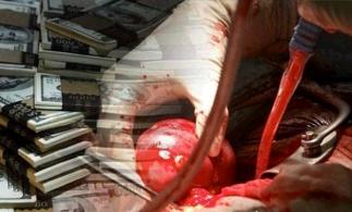 ناشر التحقيق الفضيحة فى تجارة الأعضاء البشرية بمصر: سرقتها من الشخص يتصدر المشهد
